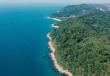 这种激动：看到老队长在伤停补时的最后一秒头球绝杀，全场球迷彻底陷入了疯狂。